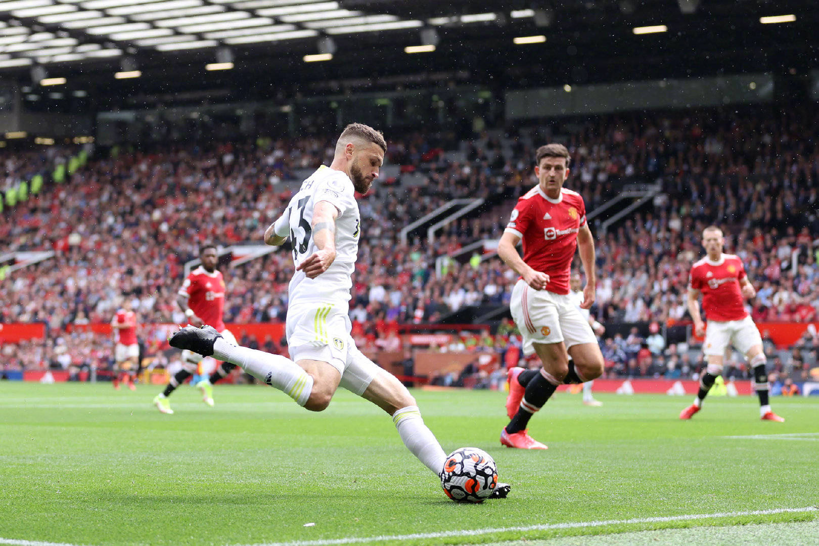 夏洛特黄蜂 夏洛特黄蜂