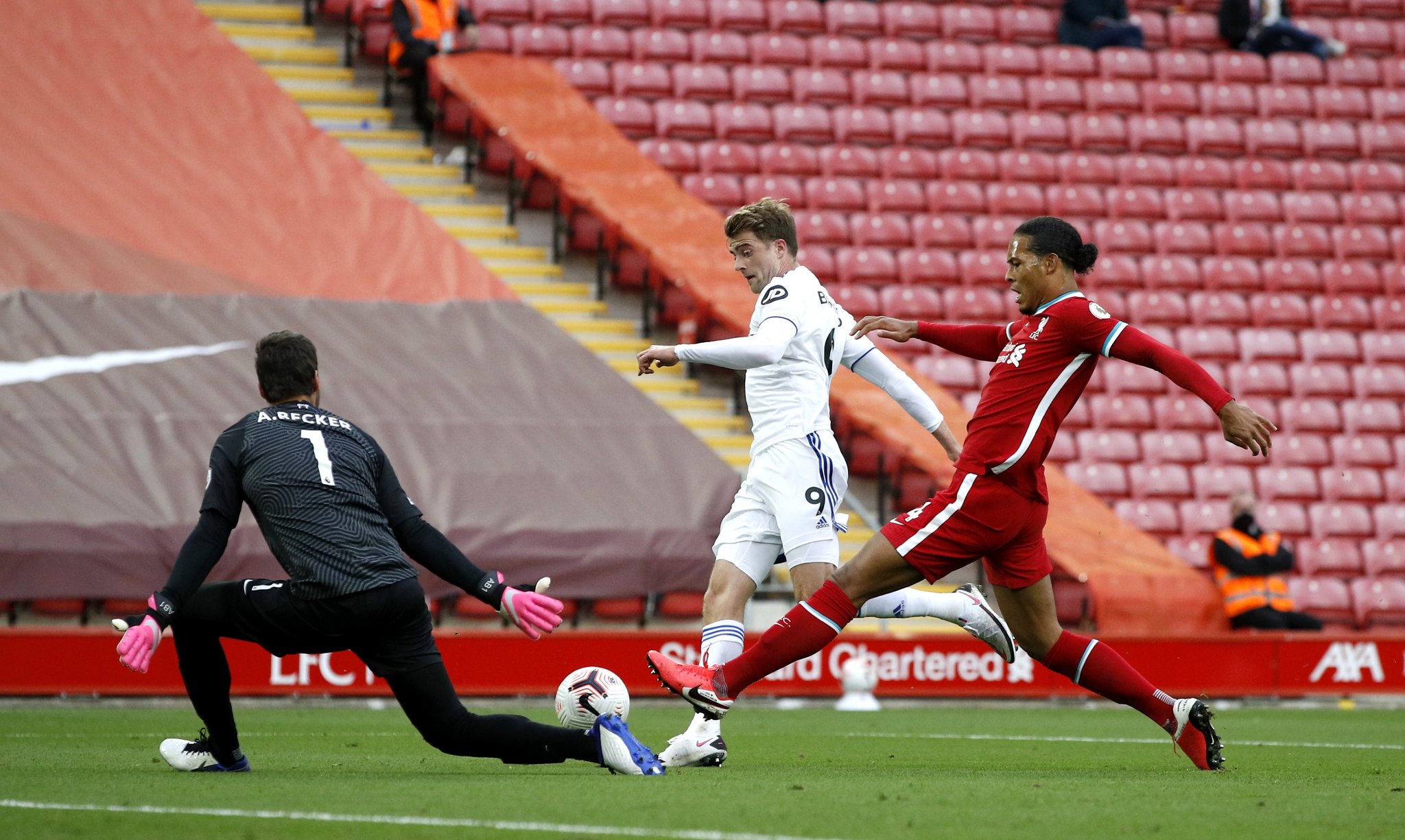 線和健康的 線和健康的