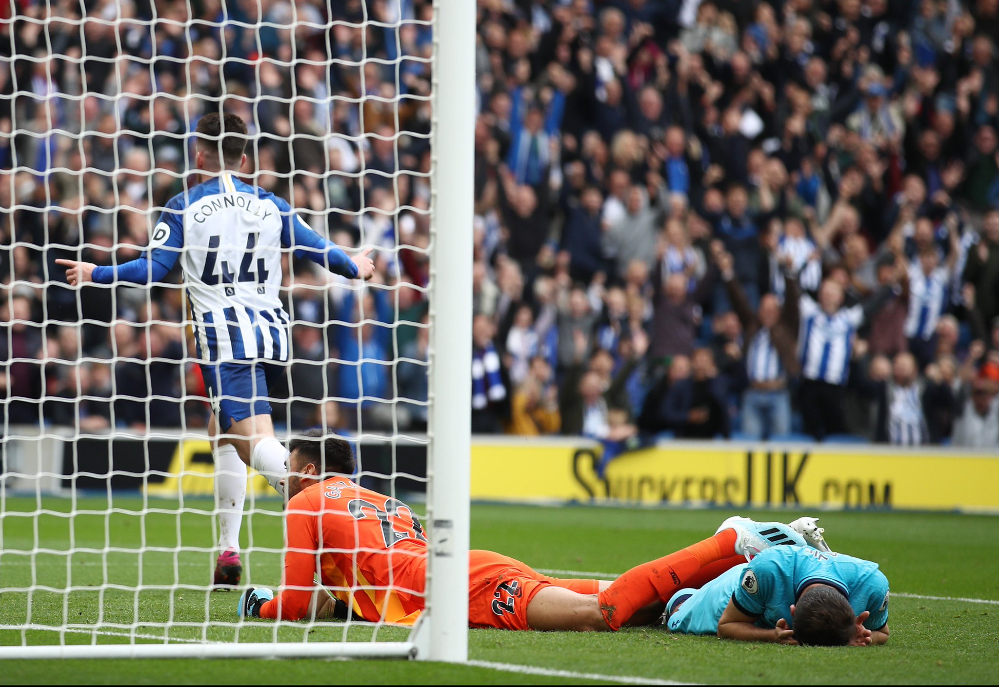 蜀山区的学 蜀山区的学